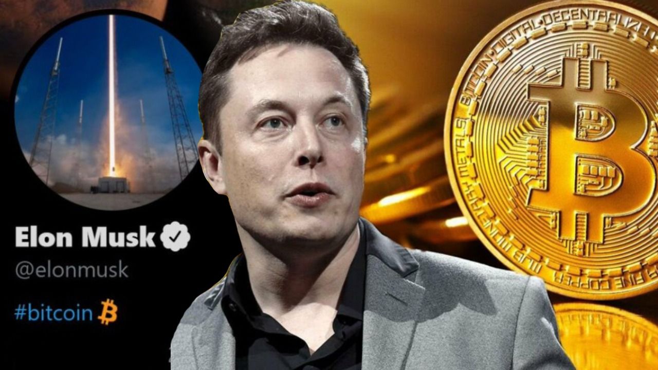 You are currently viewing Elon Musk : the cryptocurrency influencer